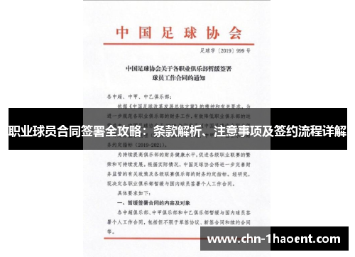 职业球员合同签署全攻略:条款解析、注意事项及签约流程详解 职业球员合同签署全攻略:条款解析、注意事项及签约流程详解