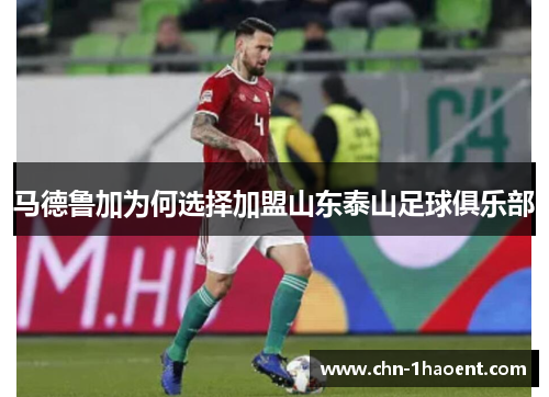 马德鲁加为何选择加盟山东泰山足球俱乐部
